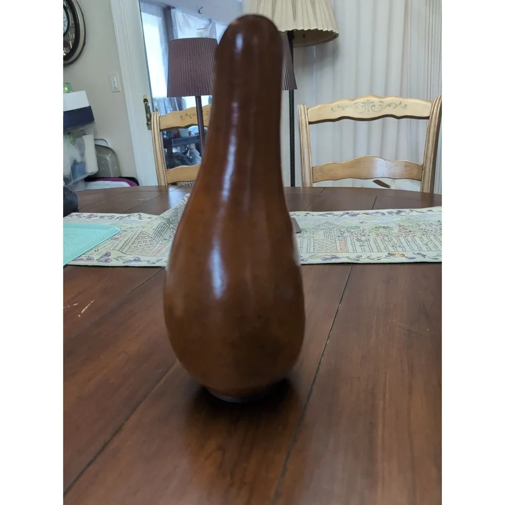 Gourdicopia Meadowbrooke Gourds Rustic Homegrown Autumn Harvest‎ Decor Vase 13